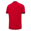 Maillot Foot Albanie Domicile 2024-25